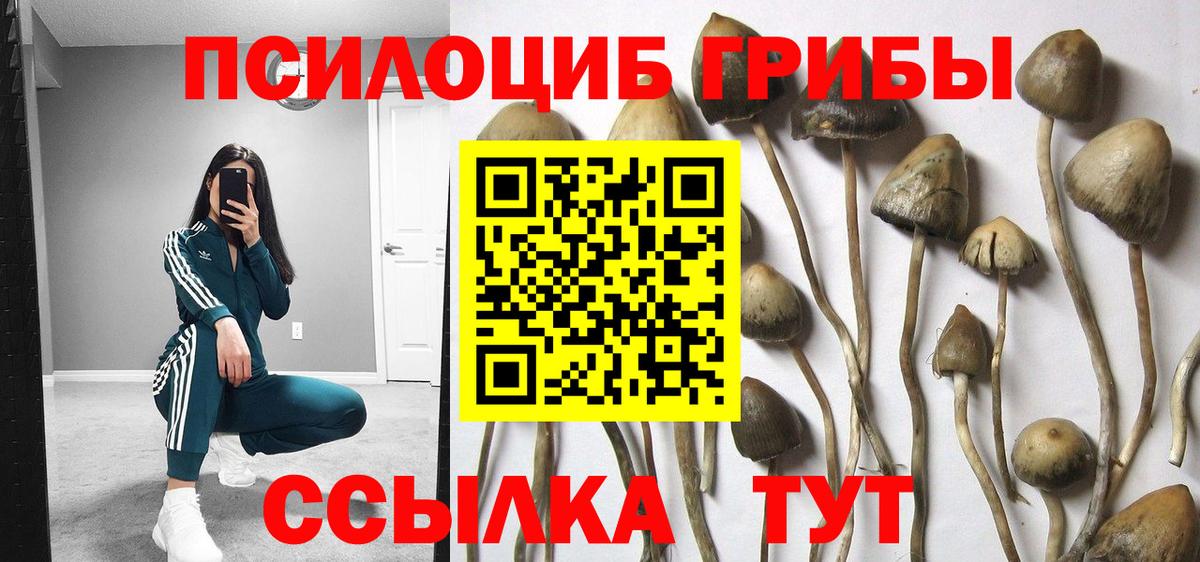 наркошоп  Вход с VPN  Краснотурьинск  Галлюциногенные грибы прущие грибы 